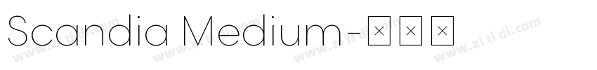 Scandia Medium字体转换